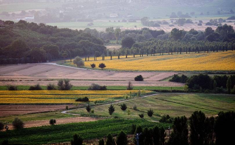 Brunello Cucinelli shapes the landscape of his legacy