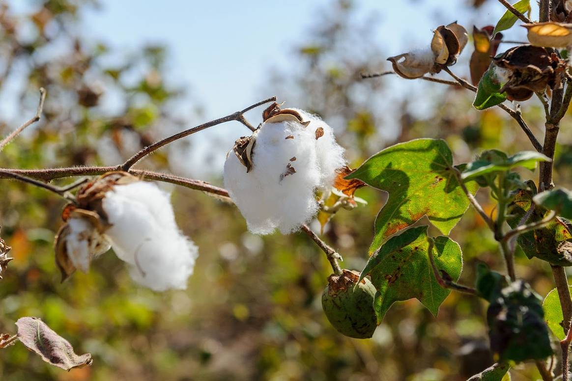 Case study on Primark sustainability, ethics, supply chain.