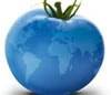 Blue Tomato: В ритейле главное - скорость
