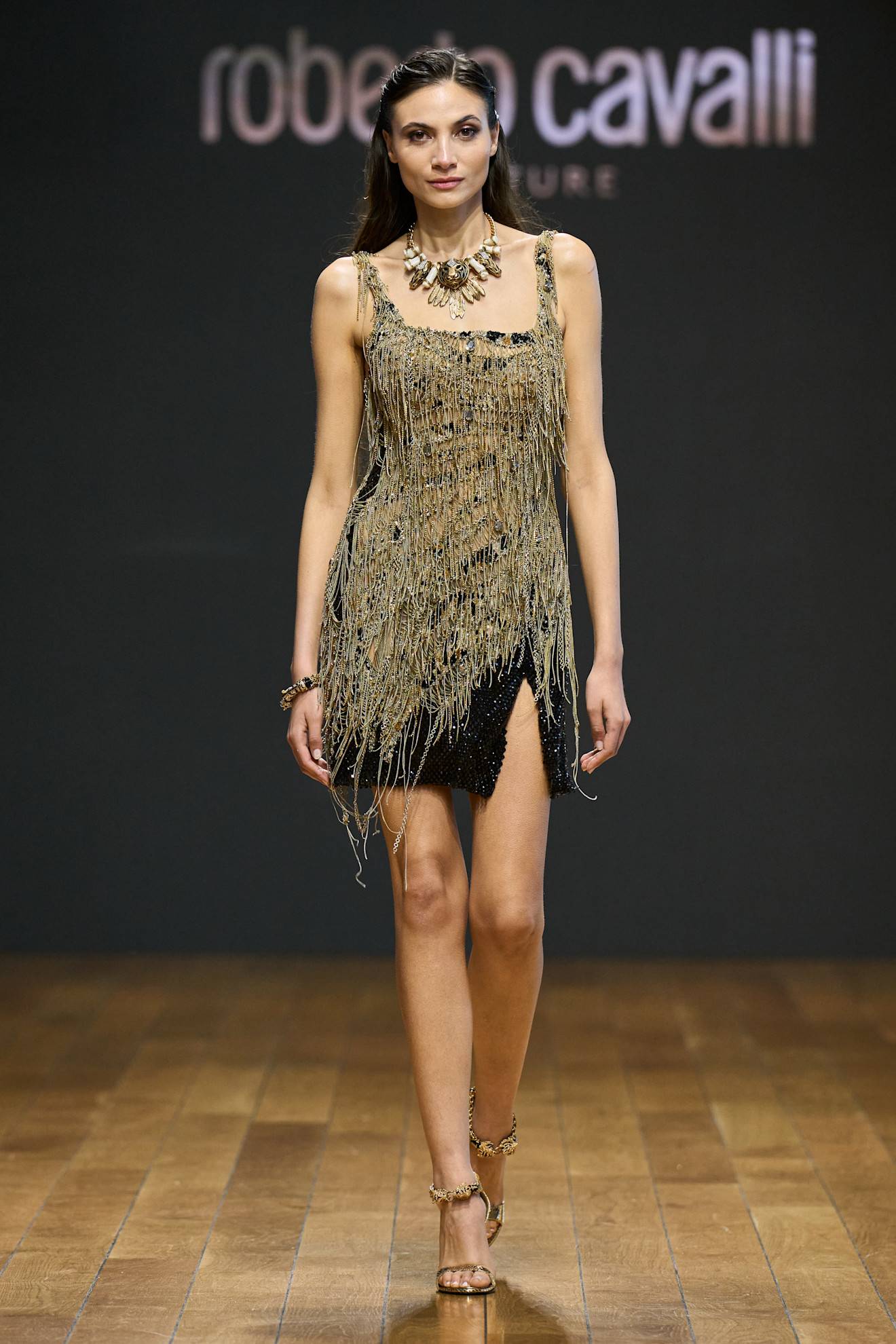 Roberto Cavalli RTW SS26