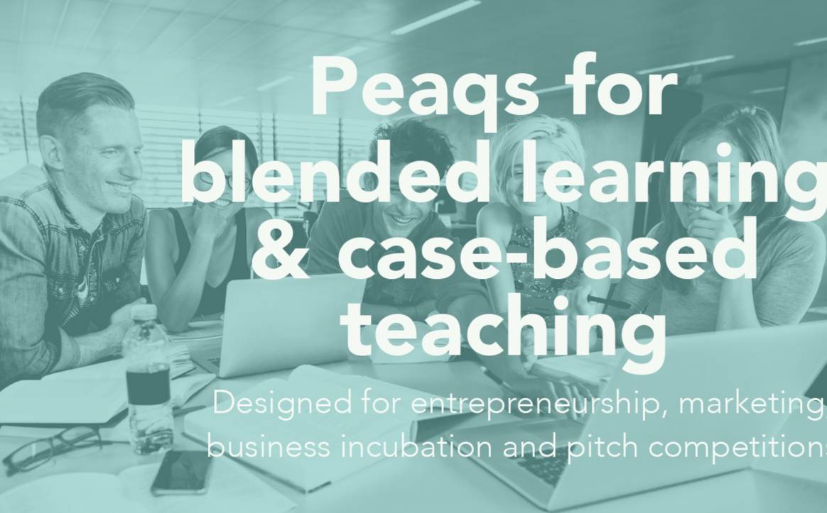 Peaqs software for education