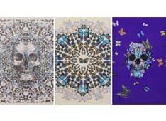 Hirst sjaals voor McQueen