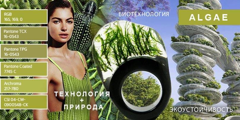 10 макро-цветов сезона 2018/19 (Часть 2)