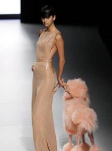 Resumen positivo de la moda del 2007