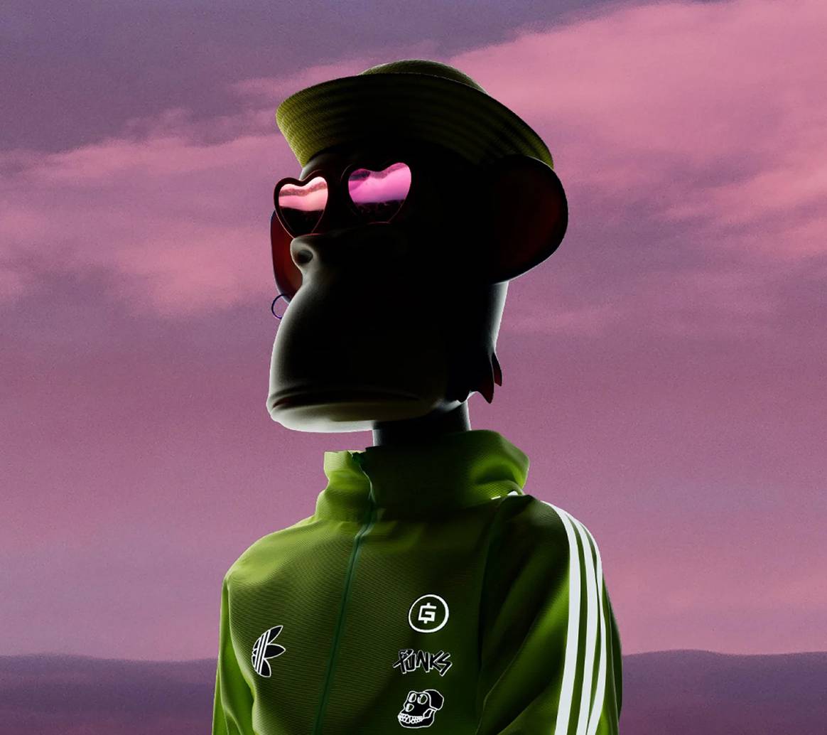 Photo Credits: Adidas.
