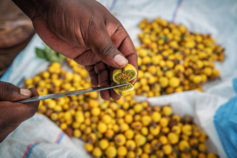 Польская LPP стала партнером Made in Africa