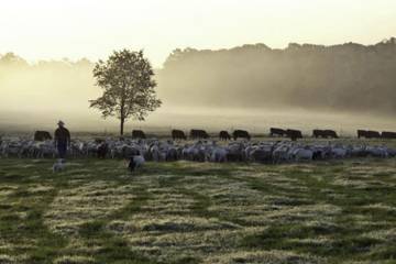 Kering unterstützt nachhaltige Landwirtschaft