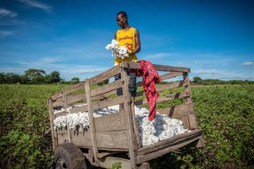 Aid by Trade Foundation veröffentlicht Ergebnisse unabhängiger Kontrollen zu CmiA-Standards