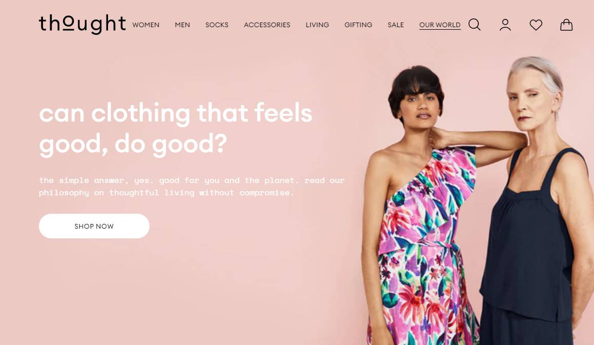 Image: Thought website