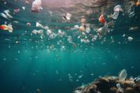 Indian textile industry faces scrutiny over toxic chemical contamination