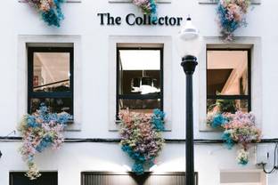 La concept store The Collector cumple un año