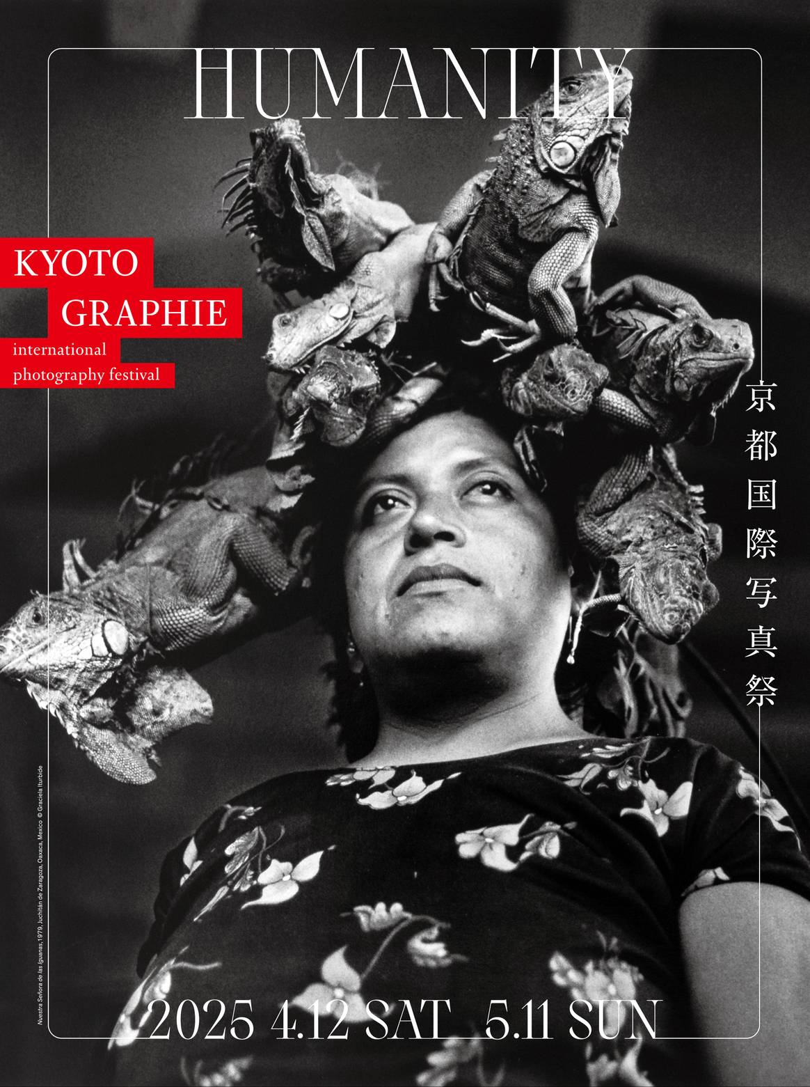 Poster de la exhibición.
