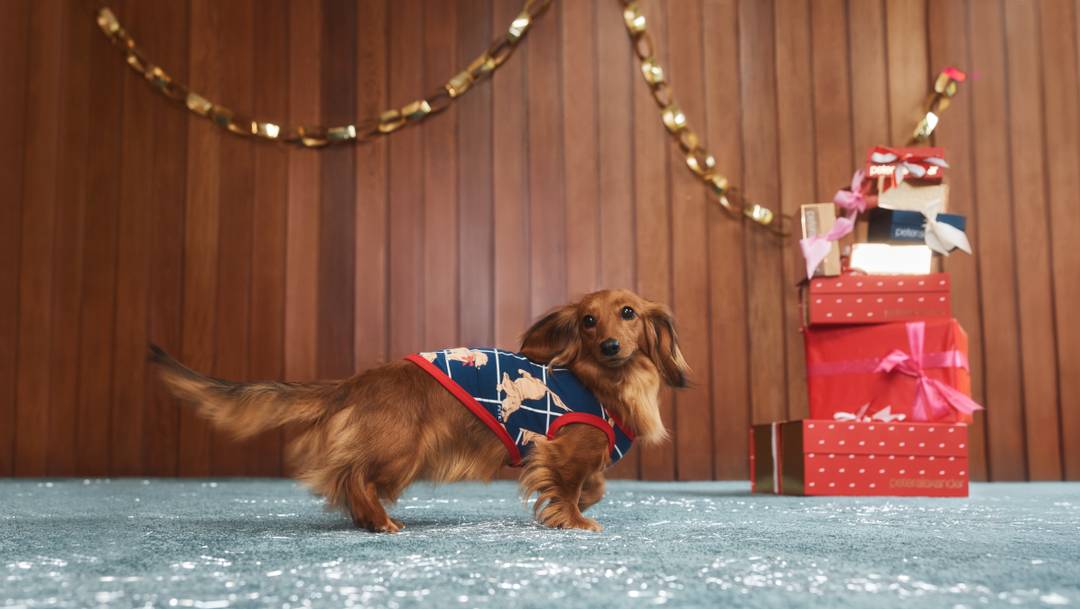 Peter Alexander Christmas 2025 collection