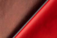 Qorium secures investment to scale lab-grown leather 