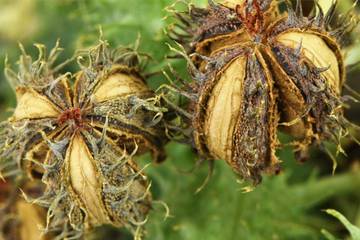 Why synthetics must be part of the sustainability movement