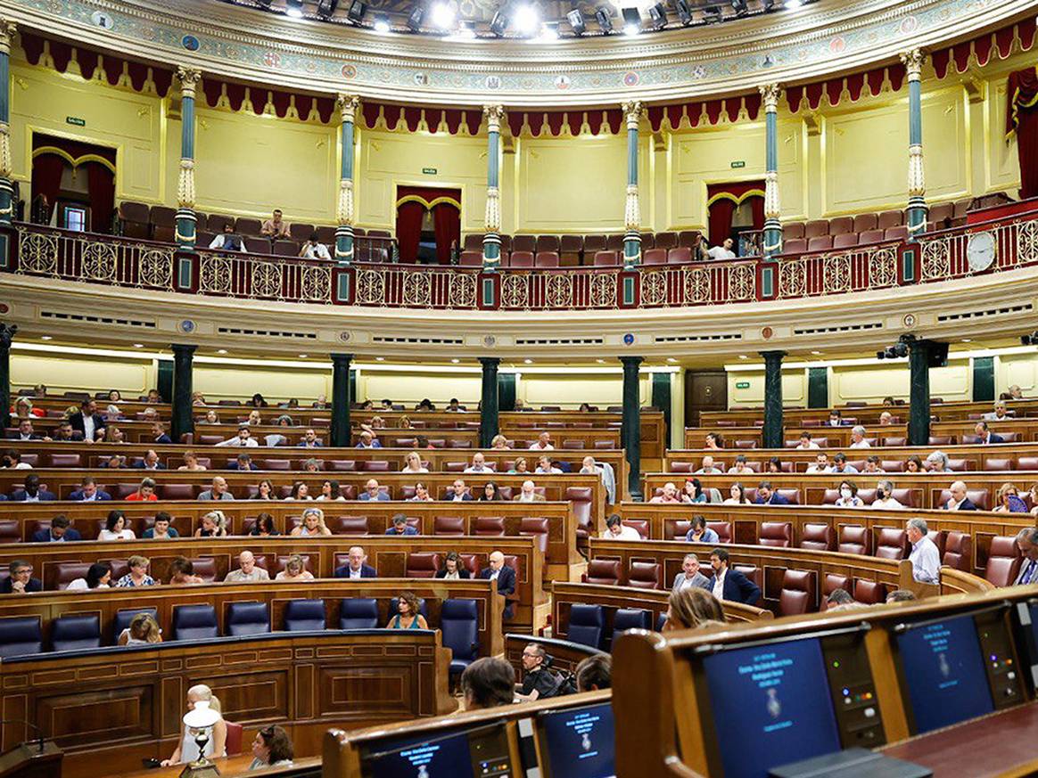 Photo Credits: Congreso de los Diputados, Sesión Plenaria del 25 de agosto de 2022.