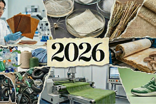 5. 2026 Fabric and materials outlook