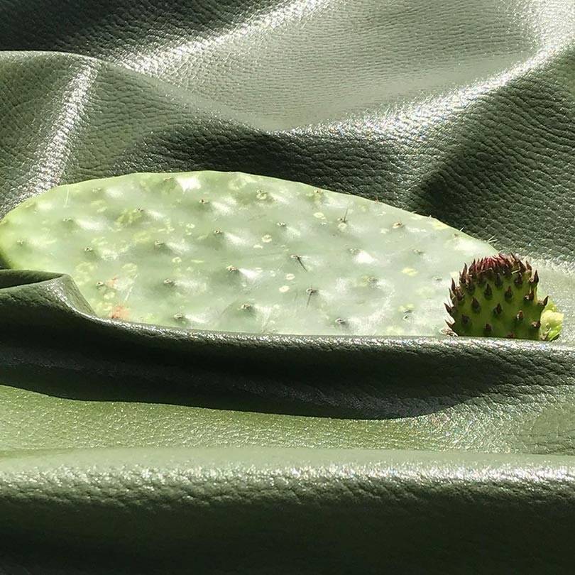 Vegan cactus leather from Mexico: new favorite for luxury at Lineapelle Milan