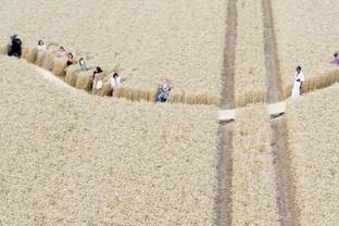 Jacquemus: la sfilata nel campo di grano che ha offuscato i video emozionali