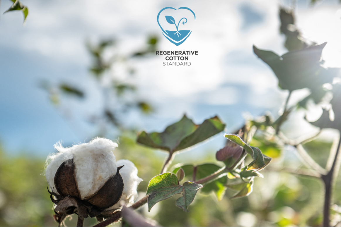 Der neue Regenerative Cotton Standard der Aid by Trade Foundation.