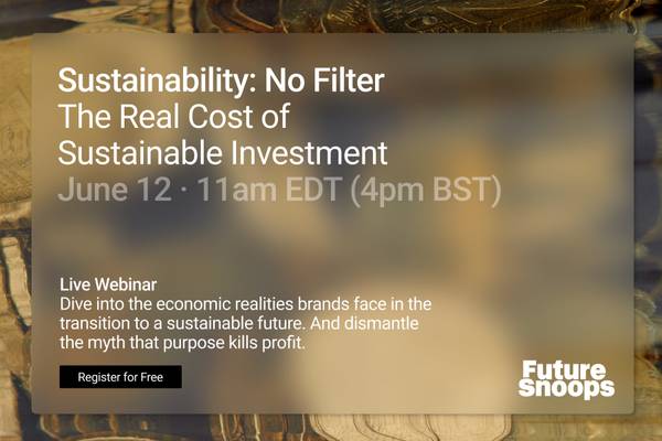 Future Snoops: The Real Cost of Sustainable Investment