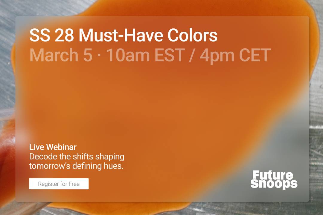 Future Snoops Webinar