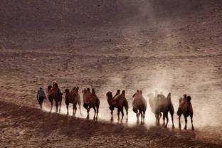 Hangzhou-Lyon, la nouvelle route de la soie