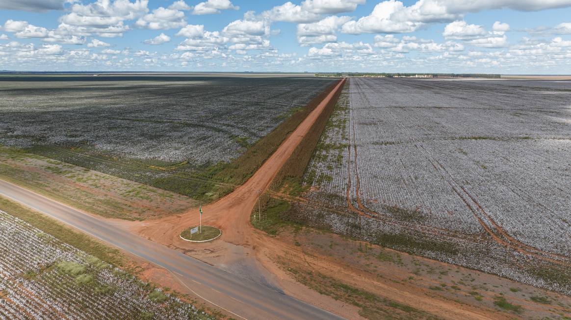 SLC Farm in Bahia, Brasilien, Juni 2023