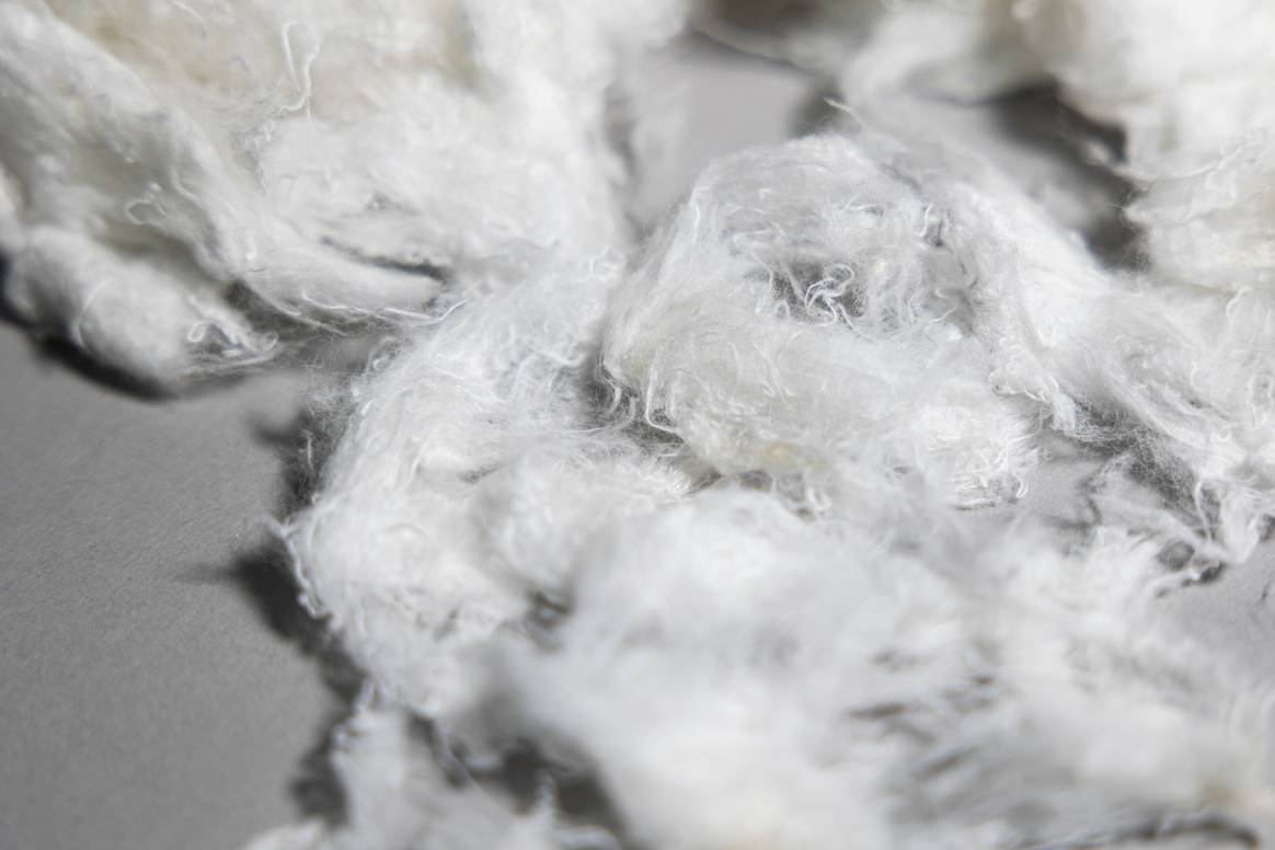 Next Gen Cotton