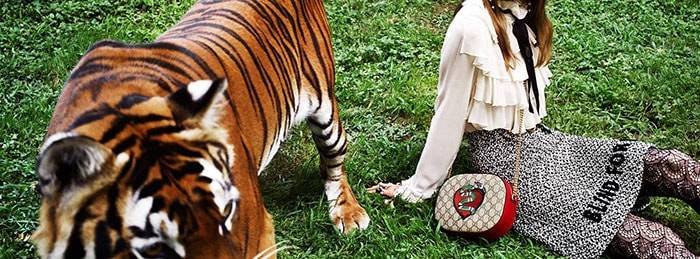 Gucci en Yves Saint Laurent stuwen omzetgroei Kering in 2016