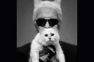 Choupette, "muse féline" de Karl