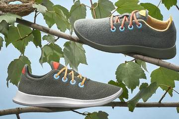 Allbirds to go 100 percent carbon neutral