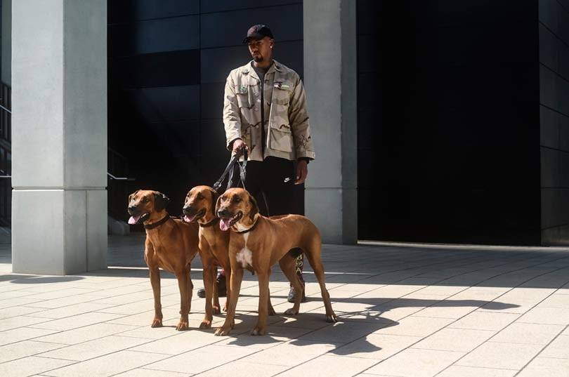 Jérôme Boateng nu ook door Zalando gestrikt voor samenwerking