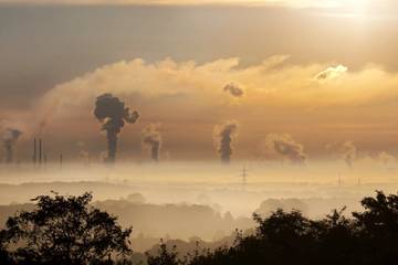 ¿Deberían los minoristas hacer más para mitigar el cambio climático?