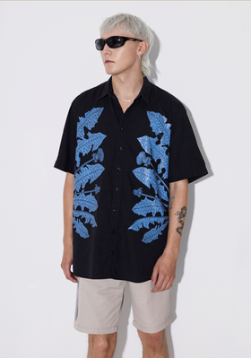 Collection image Vividye