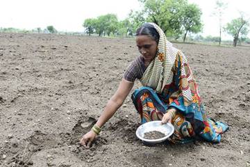 Lindex to support 350 female cotton farmers through new project