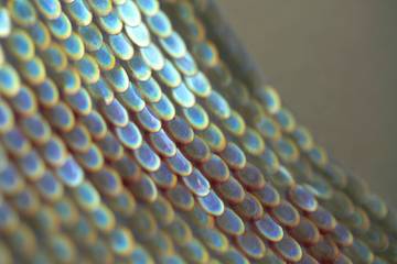 Innovatief bedrijf Radiant Matter haalt 1,2 miljoen aan investering op 