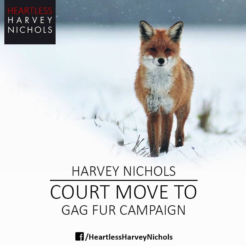 Harvey Nichols seeks Injunction to Halt Anti-Fur Protests