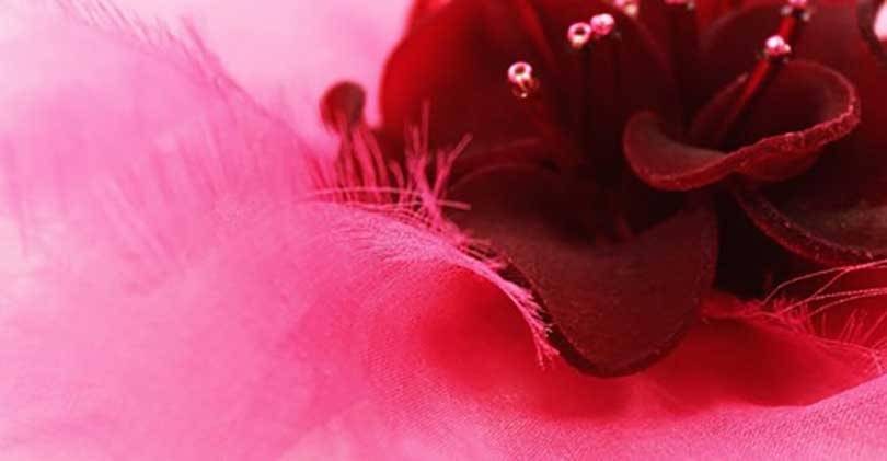 Fashion Tech : le bio-sourcing est - il l’avenir de la mode ?
