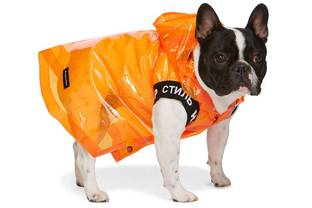 Online fashion platform Ssense launches dogwear