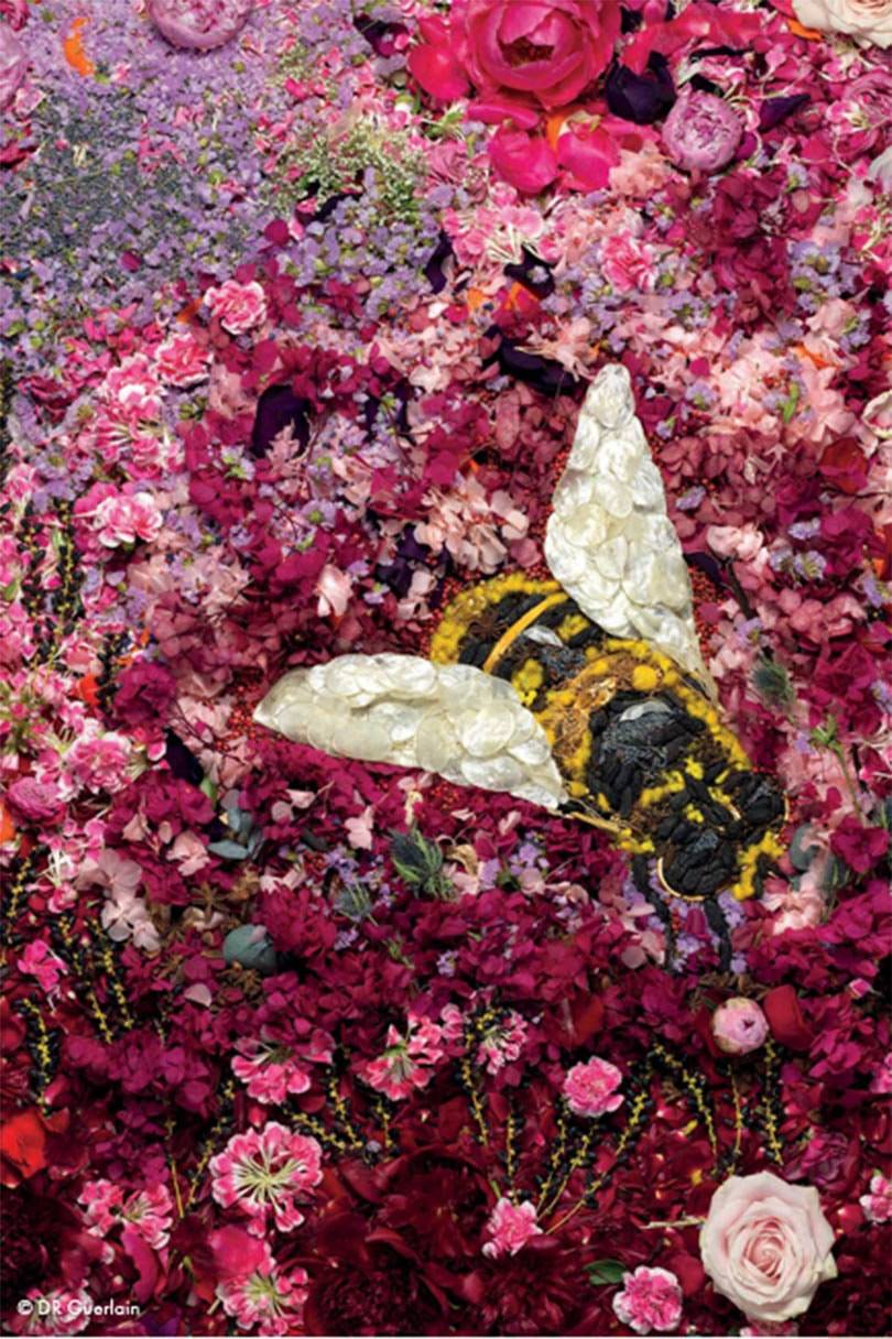 L’art du retail selon LVMH