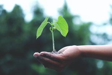 Walpole publishes first sustainability report of UK luxury companies 
