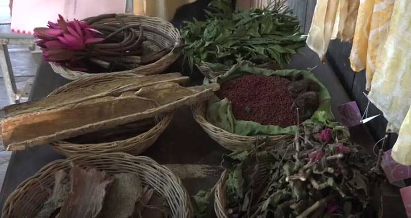 Innovations textiles durables : fibre de lotus