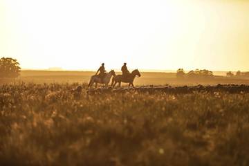 Ba&sh teams up with Nativa to develop regenerative farming