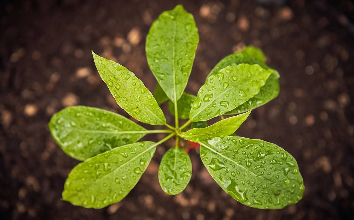 49 Sustainability efforts of the fashion industry in September 2021