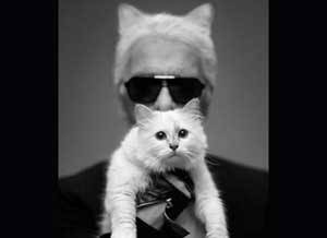 Choupette, "muse féline" de Karl