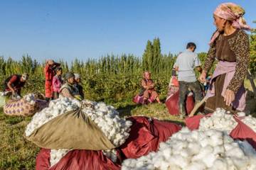 Kirgistans Landwirtschaft will bis 2028 100 Prozent ökologisch werden