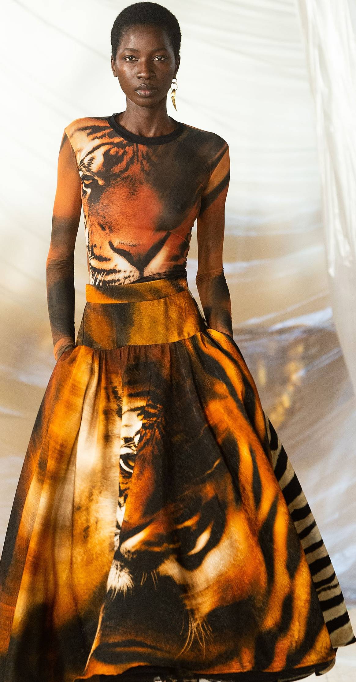 Courtesy of Roberto Cavalli