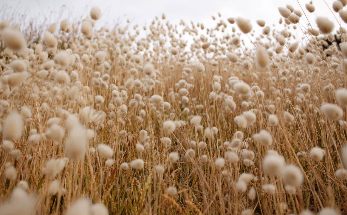 49 Sustainability efforts of the fashion industry in September 2021