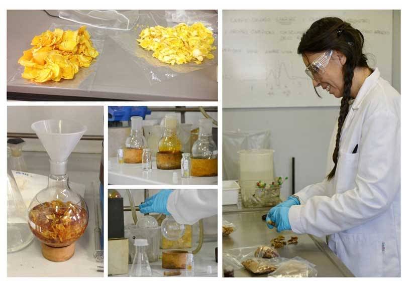 Tejidos Innovadores Sostenibles: Orange Fiber